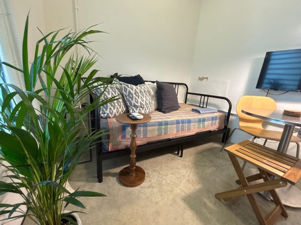 Modern Micro Loft